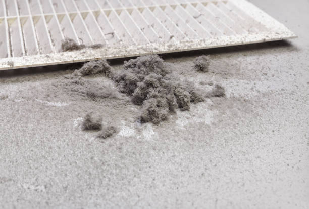 Best Local Air Duct Cleaning Services  in Mayo, SC