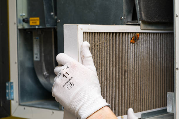 Best Affordable Air Duct Cleaning  in Mayo, SC