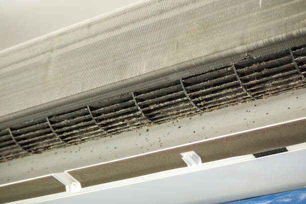 Air Duct Mold Removal in SC