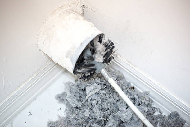 Best Local Air Duct Cleaning Services  in Mayo, SC